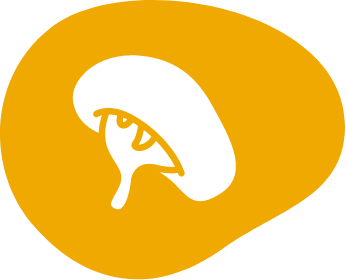 Spleen